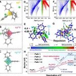 上硅所李驰麟/张景贤JACS：受体闭环转换机制实现高度可逆的氟离子电池