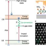 ACS Nano | 缺陷工程助力突破TMDs载流子倍增能量极限