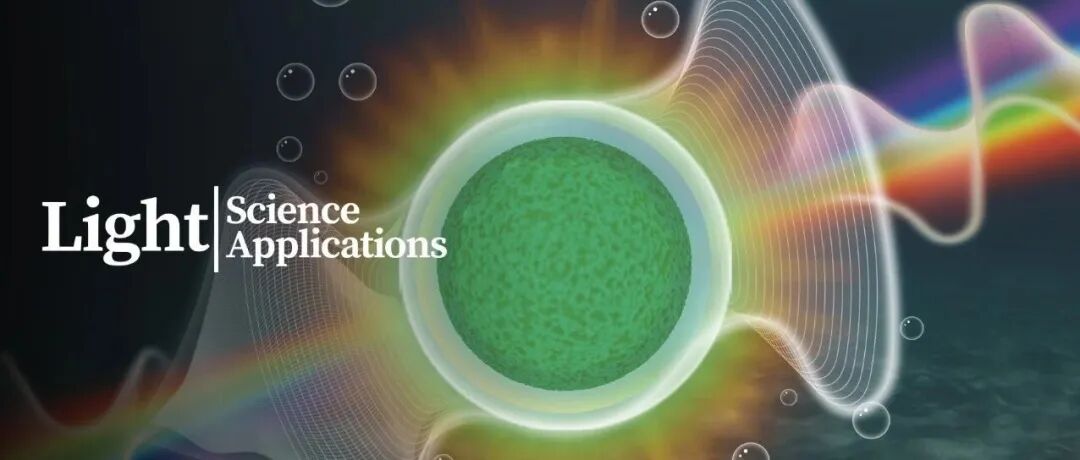 速览：Light 第14卷 第11期