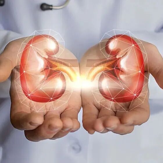 “沉默杀手“破坏约8亿人的肾脏！多种创新疗法正打破困局，让患者重获健康新希望