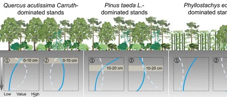 南京林业大学水保专业硕士生在Nature旗下期刊发文