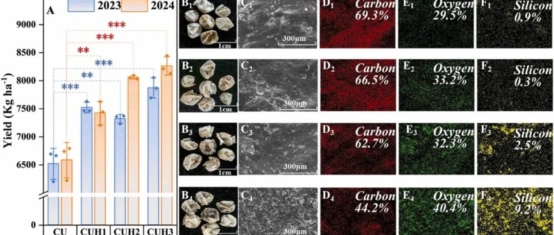 【视点】腐植酸通过光-暗协同作用加速控释肥残膜降解，将降解周期缩短三分之一以上