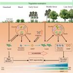 25年12月13日文献情报（15篇）