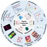 Chem. Soc. Rev：超分子染料：通过分子工程推进精准医疗