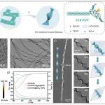 赵东元院士领衔，「长江学者」唐云&「国家级青年人才」赵天聪Angew：介观手性的形成机制揭示！