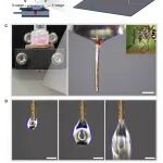 用“蚊子”，发了一篇Science子刊！