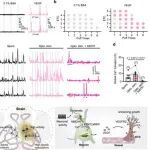 杜久林等合作最新Nature子刊