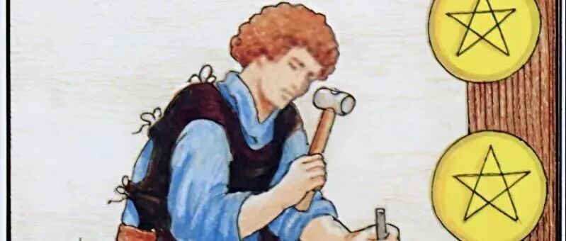 星币八与笨苹果