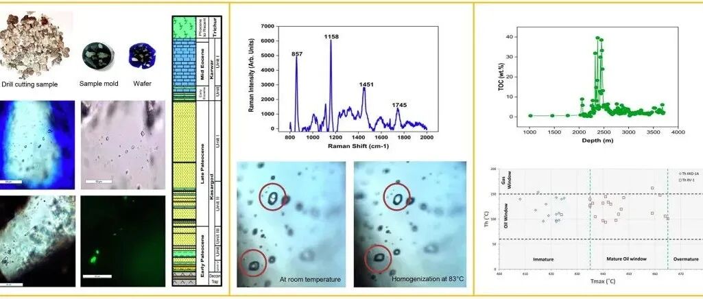 Geosci. Front. | 印度西部近海两口干井的烃类流体包裹体与烃源岩参数对比研究