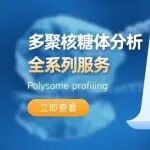 Polysome profiling多聚核糖体分析技术解析