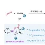 北大唐小燕课题组开发CO2基长碳链聚酯合成新方法