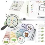 Ecology Letters | 植物所生物多样性与生态安全研究团队揭示叶片内生真菌分子功能多样性调控亚热带森林幼苗存活的机制