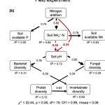 植物所潘庆民研究团队揭示草原多营养级生物多样性和生态系统功能对氮富集的响应轨迹、阈值和机制