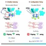 华东师范大学王威团队：设计和构建新型CPL活性轮烷