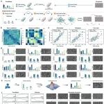 Npj Comput. Mater. : AI助力材料设计很简单？“模态缺失”就难上难！