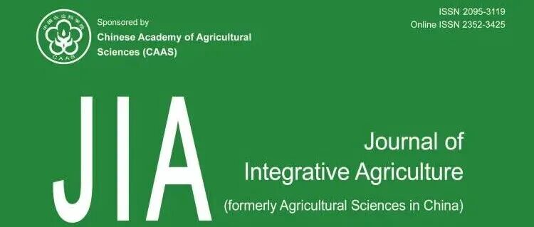 JIA 12月优先上线文章（三）