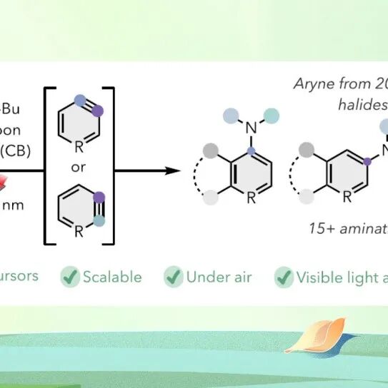 【JACS】美国普林斯顿大学Erin E. Stache团队：‌高活性芳炔中间体的新型制备策略