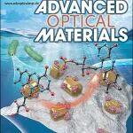 天津科技大学赵倩，李盛华AOM: 具有多彩余辉的无机-聚合物杂化材料