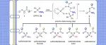 【Angew. Chem.】南昌大学熊小东团队：手性磷酸催化次磺酰胺的不对称胺化