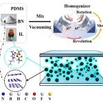 青科大张建明、陈玉伟 ACHM：提出离子液体助推BN电场取向的新策略 - 实现硅橡胶复合材料导热性能提升