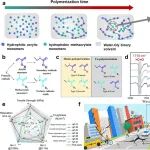 华南理工张安强教授、华南农大林雅铃教授 CEJ：基于聚合速率差异诱导疏水聚集相分离制备强韧低滞后离子液体水凝胶