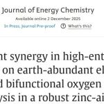 武汉大学JEC：焦耳闪烧（<10 s）构筑多元素高熵合金双功能电催化剂助力高性能锌空电池
