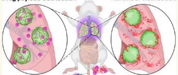 ACS NANO| 具有肺靶向和保留特性的定制纳米纤维治疗分离的三阴性乳腺癌肺转移