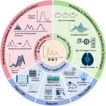港科大Ciucci/王子龙/王宇豪团队新作：DRT分析的“进阶之路”——从数学基础到AI智能诊断