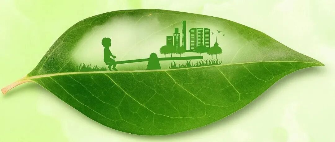 赵达等：碳限额与交易政策下考虑双敏感消费者的双渠道供应链决策研究