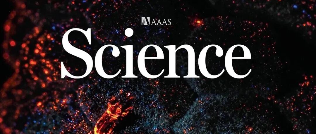 植物热信号：一种可追溯至2亿年前的古老传粉语言【Science周一新闻】