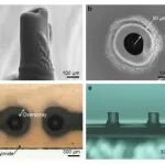 广东以色列理工学院《ACS AEM》：3D气溶胶喷射打印的石墨烯微超级电容器阵列，配备空心柱电极，以实现高电压和集成密度
