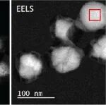 超神！史上最全TEM分析软件/教程下载：DigitalMicrograph、ImageJ、IPP、NM、PPT、TIA等