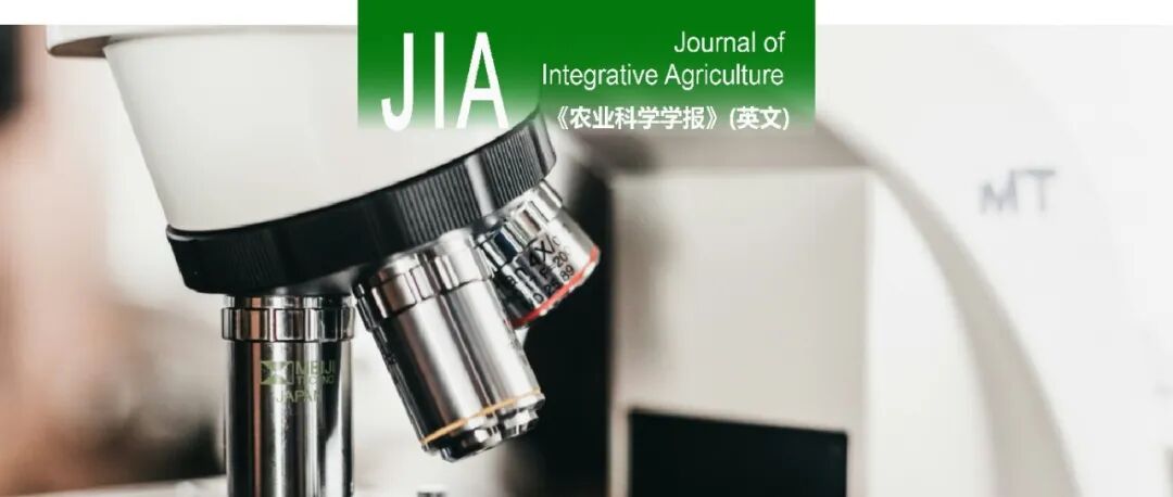 JIA | 农科院植保所李广悦课题组解析应答调节蛋白GlrR和ArcA调控嗜线虫致病杆菌合成Xenocoumacins的分子机制