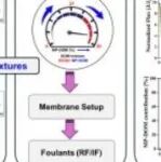 25年12月14日文献情报（9篇）
