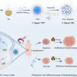 ACS Nano：铁离子释放纳米探针用于实现实体肿瘤的乏氧磁共振成像和放疗分层