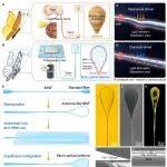 Science Advances：受昆虫启发的微型光学天线可实现超灵敏的多感官感知