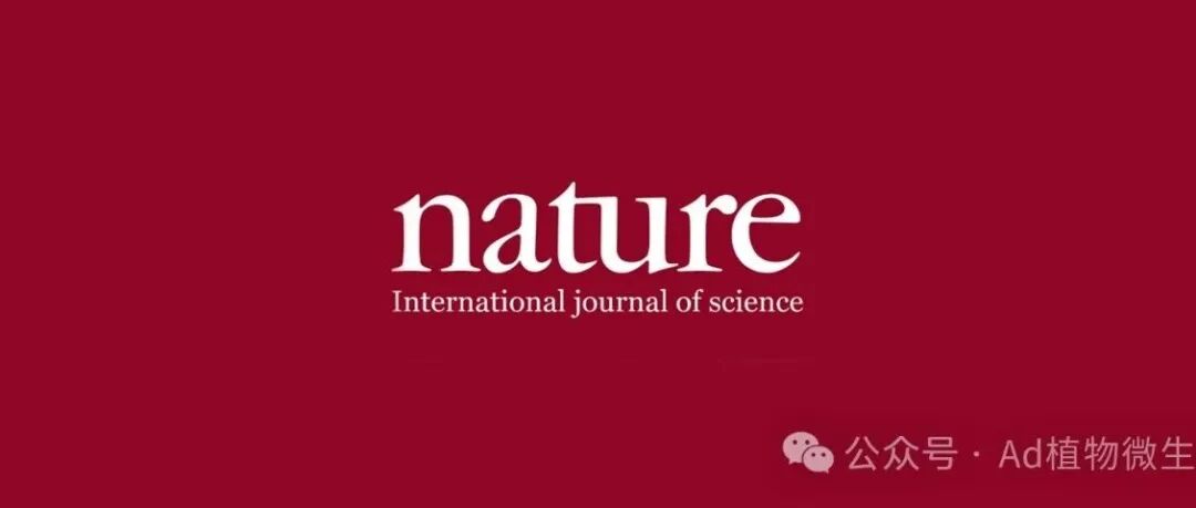 南京农业大学院士团队发表《Nature》大子刊、入选年度“南京市十大科技成果”，再获重要进展，发现水稻“内外兼修”的关键基因
