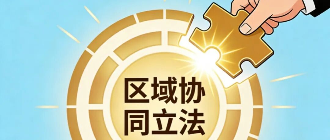 虞浔 | 低空经济领域区域协同立法的理论证成与路径选择