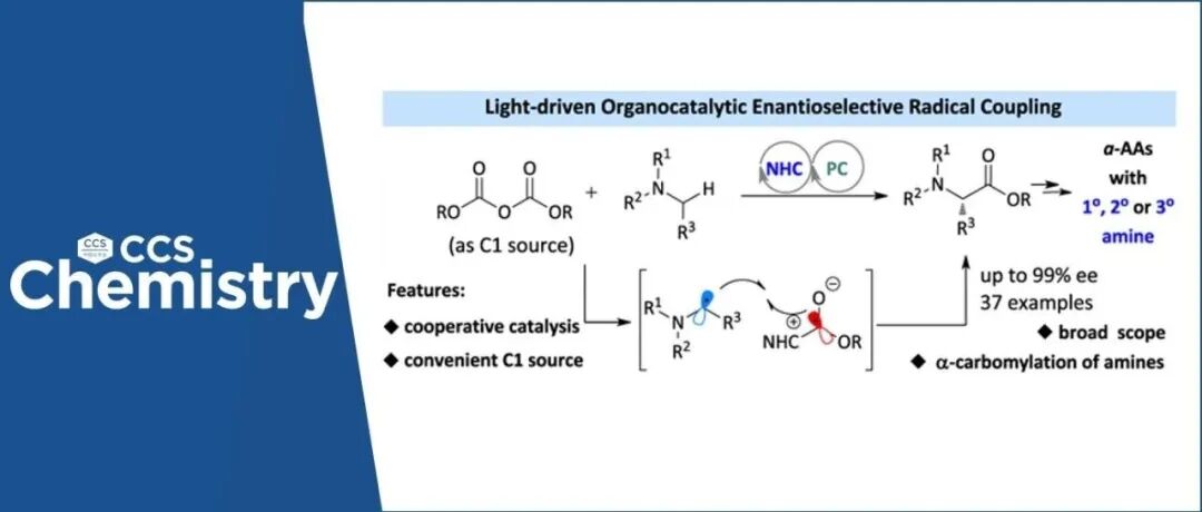 【CCS Chem.】清华大学汪舰课题组：手性α-氨基酸合成新思路-光驱动氮杂环卡宾催化高对映选择性自由基α-氨基酯基化