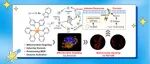 【Angew. Chem.】中山大学巢晖教授团队：线粒体靶向铱(III)基免疫原性胀亡诱导剂增强癌症化学免疫治疗