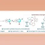 【CCS Chem.】南科大张绪穆/陈根强团队：串联亲核加成/SNAr环化反应高效构建苯并氧杂环膦骨架