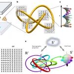 研究前沿：手性液晶-拓扑光子学 | Nature Physics