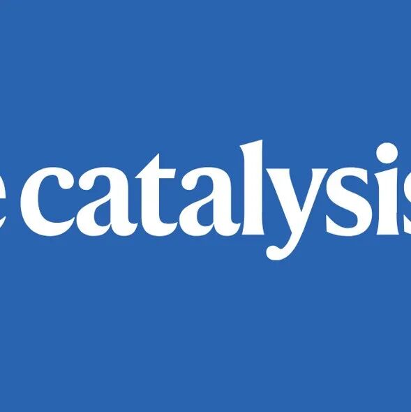 电催化大牛Koper院士，再发Nature Catalysis！