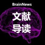 NB：2025年第12期︱“痛与痒”专辑