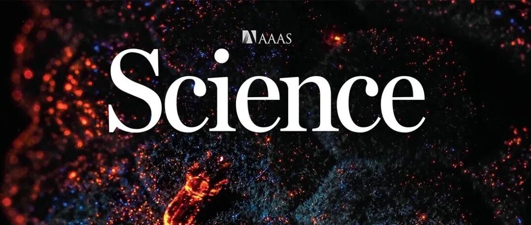广州地化所Science：海量水在地球早期“岩浆炼狱”中被深埋地幔