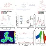 石河子大学包福喜/郭文：一种融合醌亚胺实现的双活性位点机制用于抗溶解、高容量铵离子存储