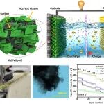 韩国东国大学《Carbon》：以酒厂废弃物/V2CTx-MXene制备碳基气凝胶，用于准固态锌离子电池