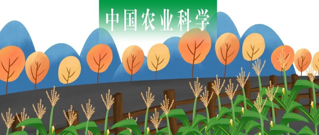 中国农业科学 | 专题：黄淮地区玉米大豆复合种植丰产增效技术研发