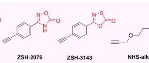 J. Am. Chem. Soc. | 二氧唑酮作为掩蔽异氰酸盐电亲试剂用于赖氨酸反应性分析