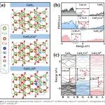 AFM：通过掺杂与缺陷工程实现GaOₓ的双极性载流子传输，用于高效硅异质结太阳能电池